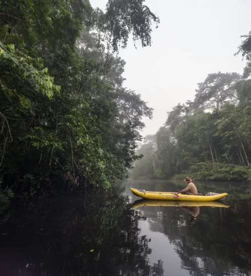 kayak-wild-mandari-9